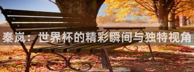 2026年世界杯时间表:秦岚:世界杯的精彩瞬间与独特视角