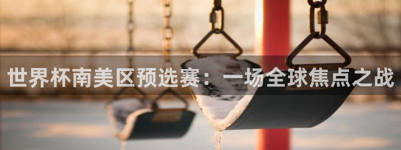 欧洲世界杯预选赛:世界杯南美区预选赛:一场全球焦点之战