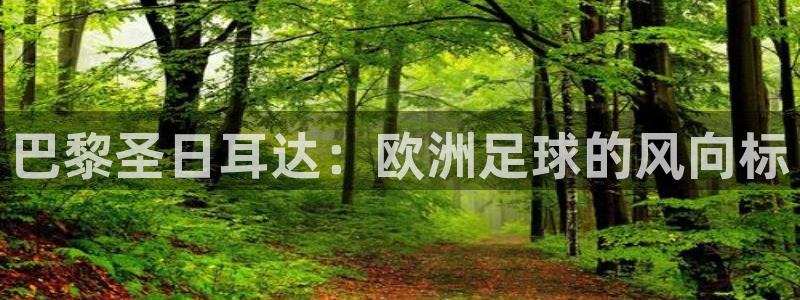 亚洲杯足球:巴黎圣日耳达:欧洲足球的风向标