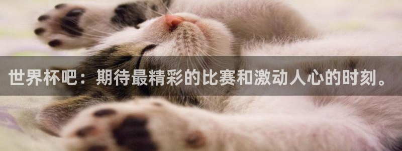 足球世界杯2026:世界杯吧:期待最精彩的比赛和激动人心的时刻。