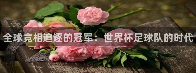 世界杯在线直播入口:全球竞相追逐的冠军:世界杯足球队的时代