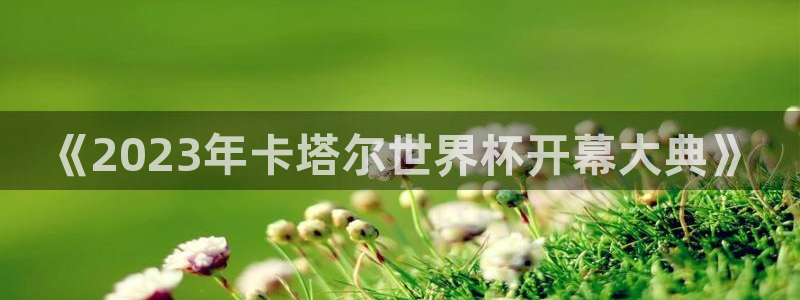 2026年世界杯赛程表时间:《2023年卡塔尔世界杯开幕大典》